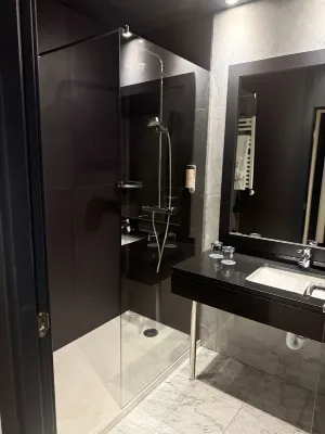 Mercure Bilbao Jardines de Albia Rooms Photos