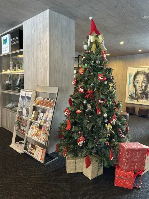 Midtown Niseko Public Areas Photos