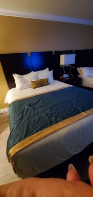 Best Western Plus South Bay Hotel Rooms Photos