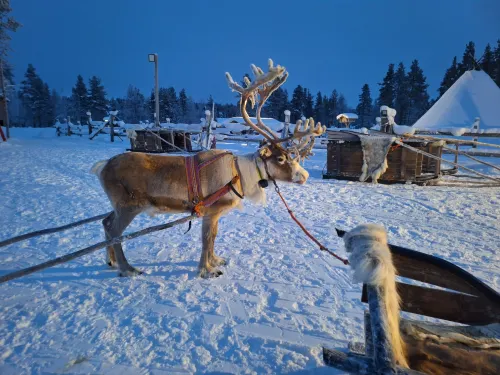 Kakslauttanen Arctic Resort - Igloos and Chalets Photos