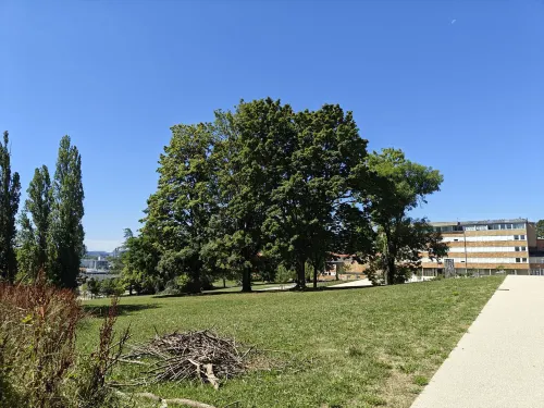 Premiere Classe Besancon - Ecole Valentin Near Hotel Photos