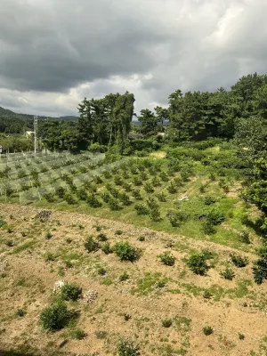호텔더본 제주 호텔 주변 Photos