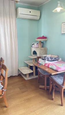 Pension Castile Rooms Photos