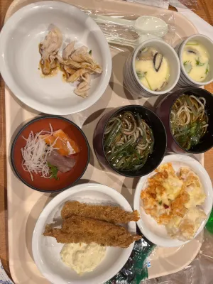 Yunokawa Kanko Hotel Shoen Restauration Photos