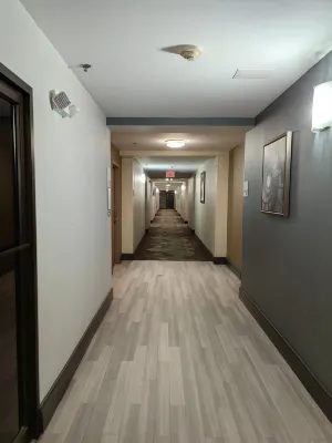 Holiday Inn Baltimore BWI Airport Public Areas Photos