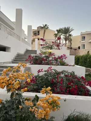 DoubleTree by Hilton Sharm El Sheikh - Sharks Bay Resort Public Areas Photos