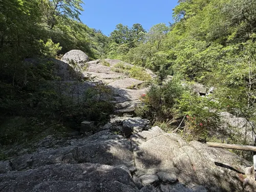 Yakushima Green Hotel Near Hotel Photos