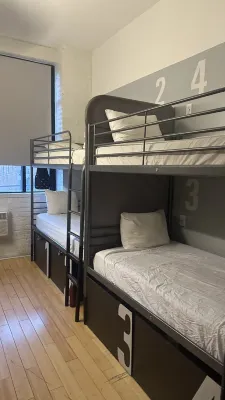 The Local NY Zimmer Photos