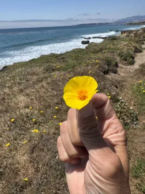 Sea Breeze Inn - San Simeon Photos