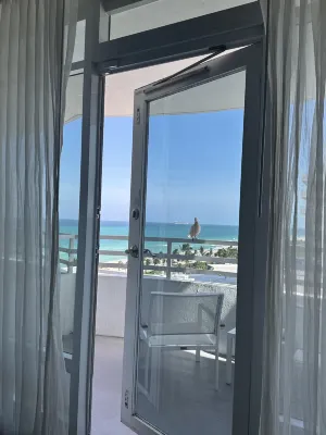 Fontainebleau Miami Beach Photos