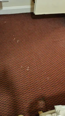Seymour Hotel Rooms Photos