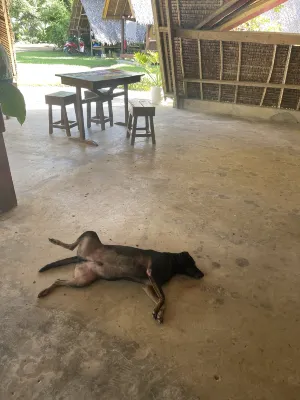 Loboc Nipa Hut Village Public Areas Photos