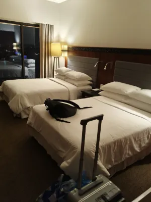 Bear’S Den Hotel Pattaya Chambres Photos