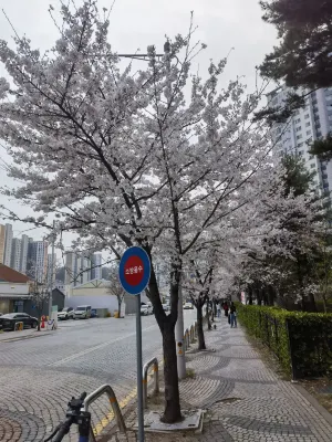 아리수호텔 호텔 주변 Photos