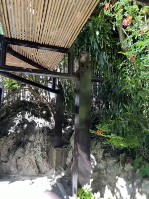 El Nido Resorts Miniloc Island Public Areas Photos