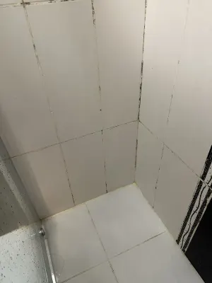 Seatanbul Hotel Rooms Photos