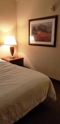Hilton Garden Inn Atlanta East/Stonecrest Rooms Photos
