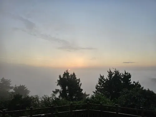 제주 나인부띠끄 호텔 호텔 주변 Photos