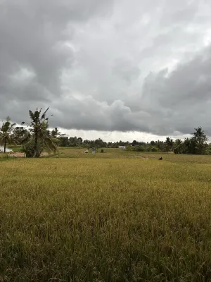Prabhu Ubud Villa Near Hotel Photos