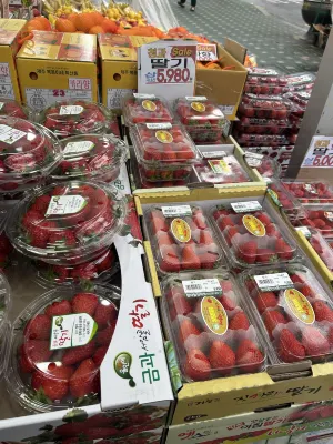 베르누이 호텔 Photos