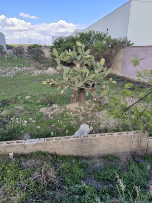 La Quinta by Wyndham Aguascalientes À proximité de l'hôtel Photos
