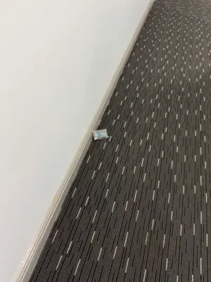 Meriton Suites Kent Street Public Areas Photos