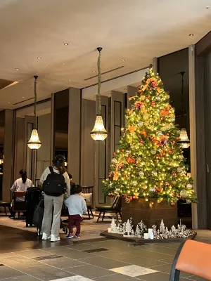 Pohang Brown Dot Hotel Public Areas Photos