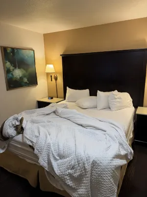 Cortona Inn and Suites Anaheim Resort Camere Photos