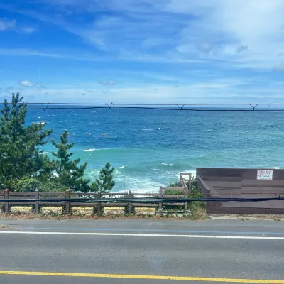 제주 큐티파이호텔 호텔 주변 Photos