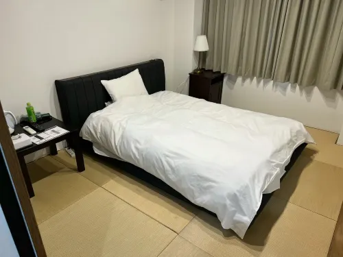Rozy Hotel Namba Camere Photos