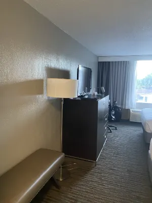 Hilton Garden Inn New York Manhattan Midtown East Rooms Photos
