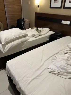 에코 사파리 티사 객실 Photos