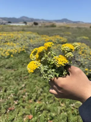 Sea Breeze Inn - San Simeon Photos