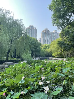 Shanghai Tyms Serviced Apartment Near Hotel Photos