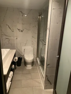 Sheraton Charlotte Hotel Rooms Photos