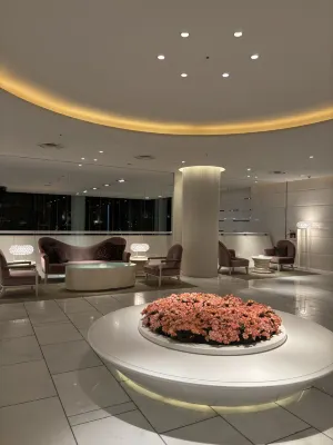 Hotel Elsereine Osaka Espaces publics Photos