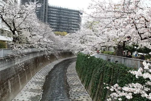 Tokyu Stay Nihonbashi -Tokyo In der Nähe des Hotels Photos