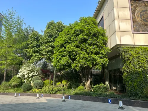 Wangjiang Hotel (Wangjiang Jiudian) Extérieur Photos