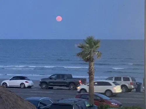 Galveston Beach Hotel Рядом с отелем Photos