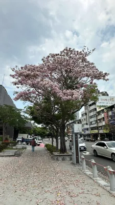 台中愛萊時尚旅館 飯店周邊 Photos