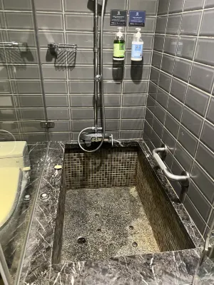 Shin Yuan Park Hotel Chambres Photos