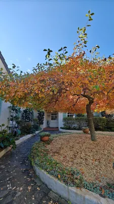 Silvermere Guesthouse Near Hotel Photos