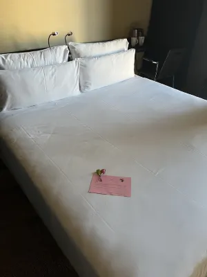 Axel Hotel Berlin-Adults Only Rooms Photos