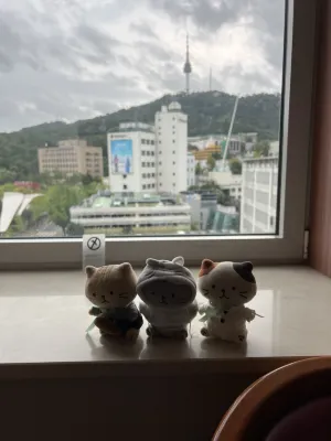 Sejong Hotel Seoul Myeongdong Photos