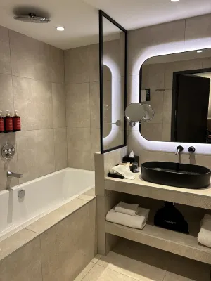 Pullman Lyon Chambres Photos
