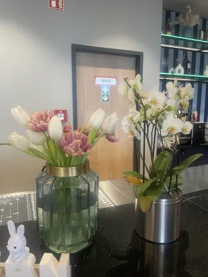 Hampton by Hilton Celle Photos