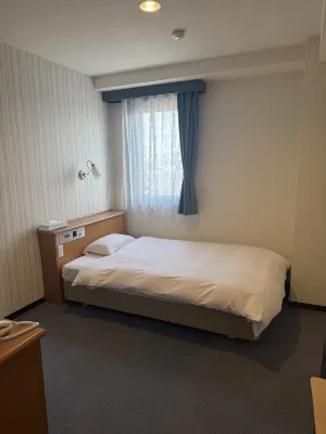 Smile Hotel Takaoka Ekimae Chambres Photos