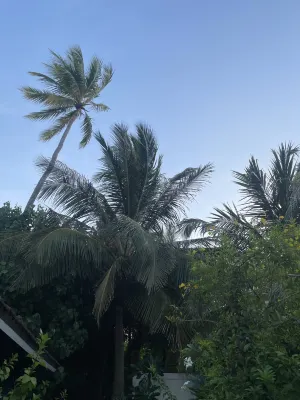NH Maldives Kuda Rah Resort Общественные зоны Photos