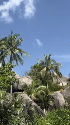 The Dearly Koh Tao Hostel-Padi 5 Star Dive Resort Near Hotel Photos