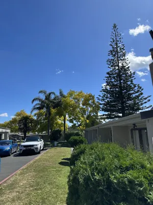 Auckland Airport Kiwi Motel À proximité de l'hôtel Photos